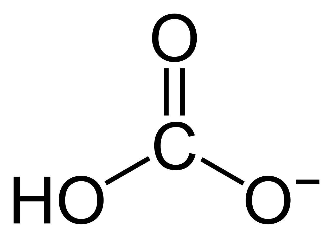 Hydrogencarbonat (HCO₃⁻)