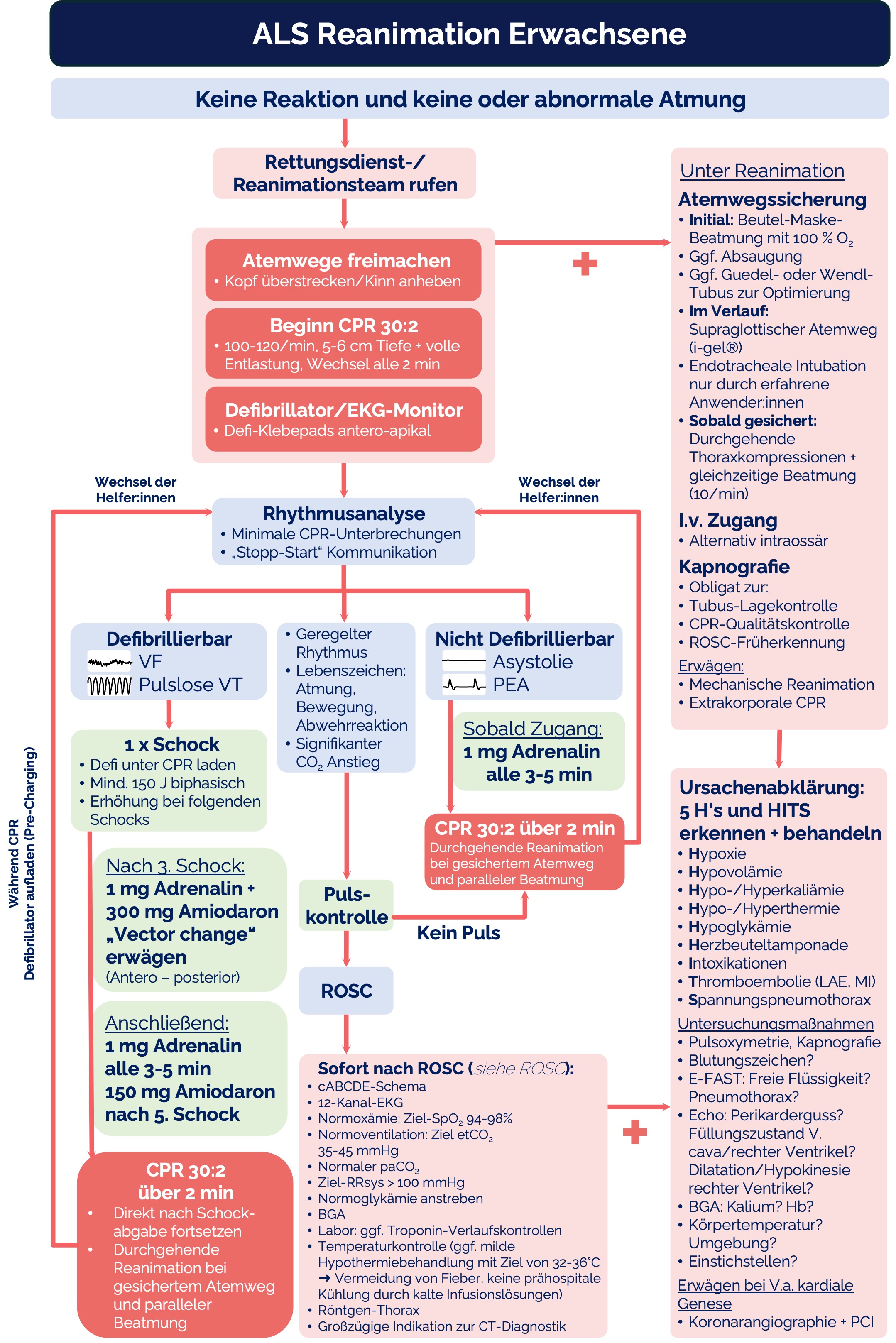 Algorithmus: Advanced Life Support (ALS) Erwachsene