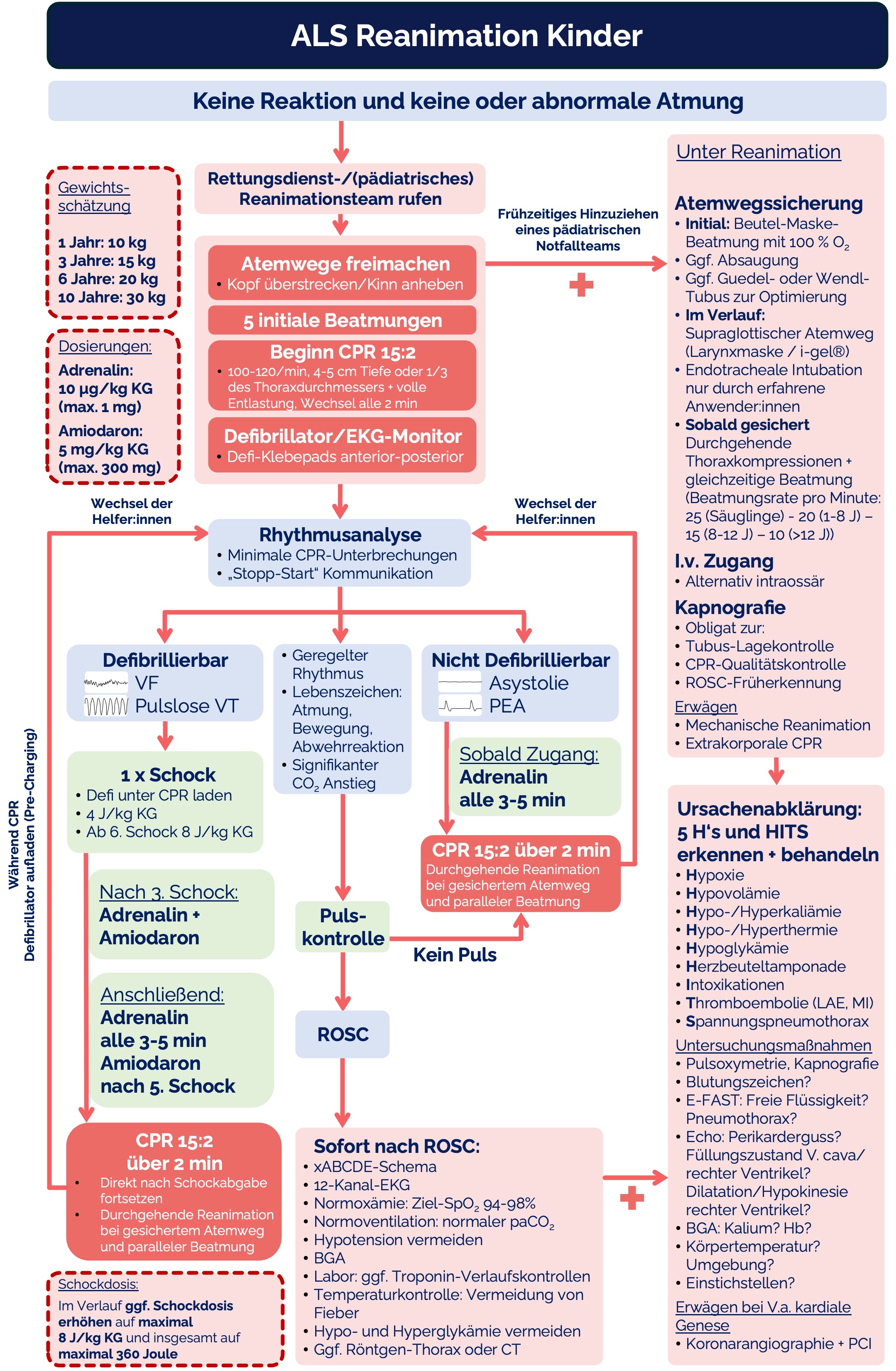 Algorithmus: ALS Reanimation Kinder