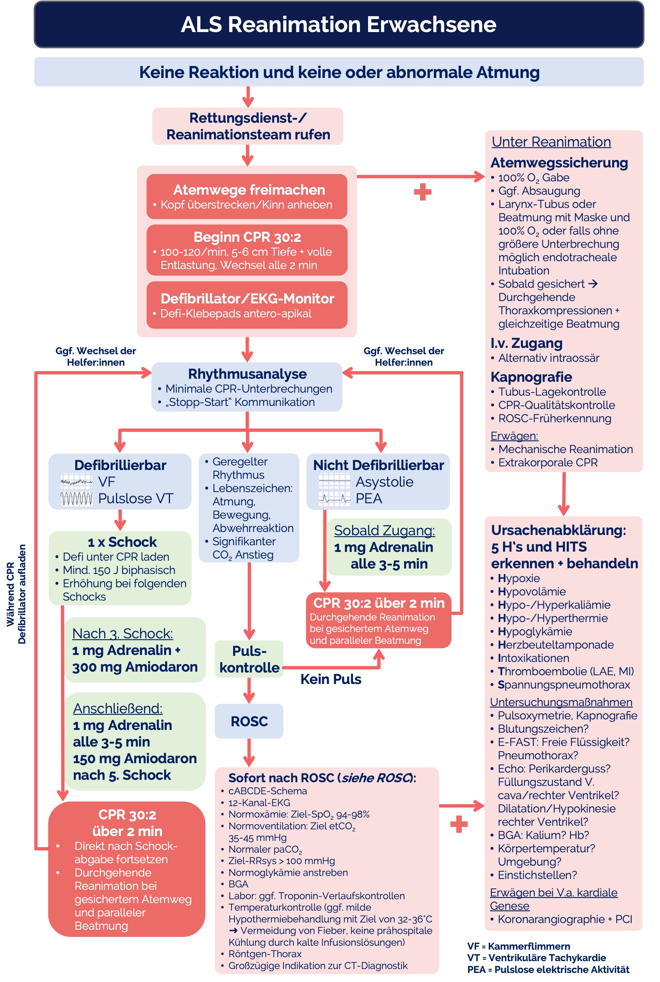 Algorithmus: Advanced Life Support (ALS) Erwachsene