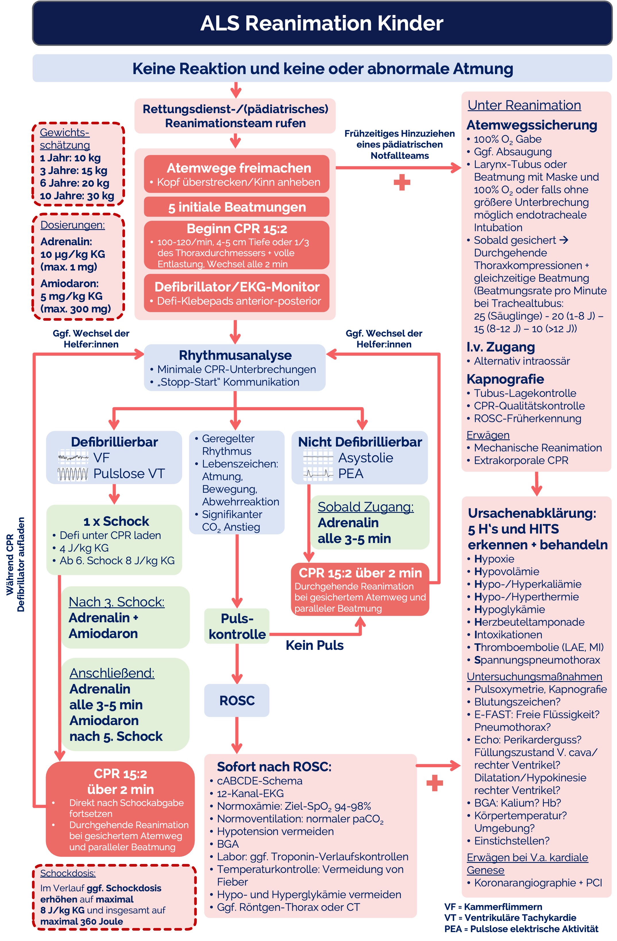 Algorithmus: ALS Reanimation Kinder