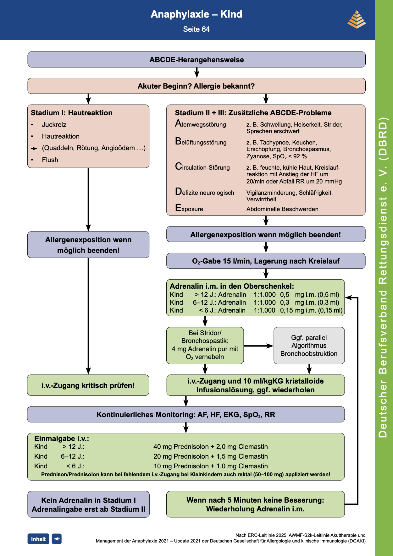 DBRD Algorithmus: Anaphylaxie Kind