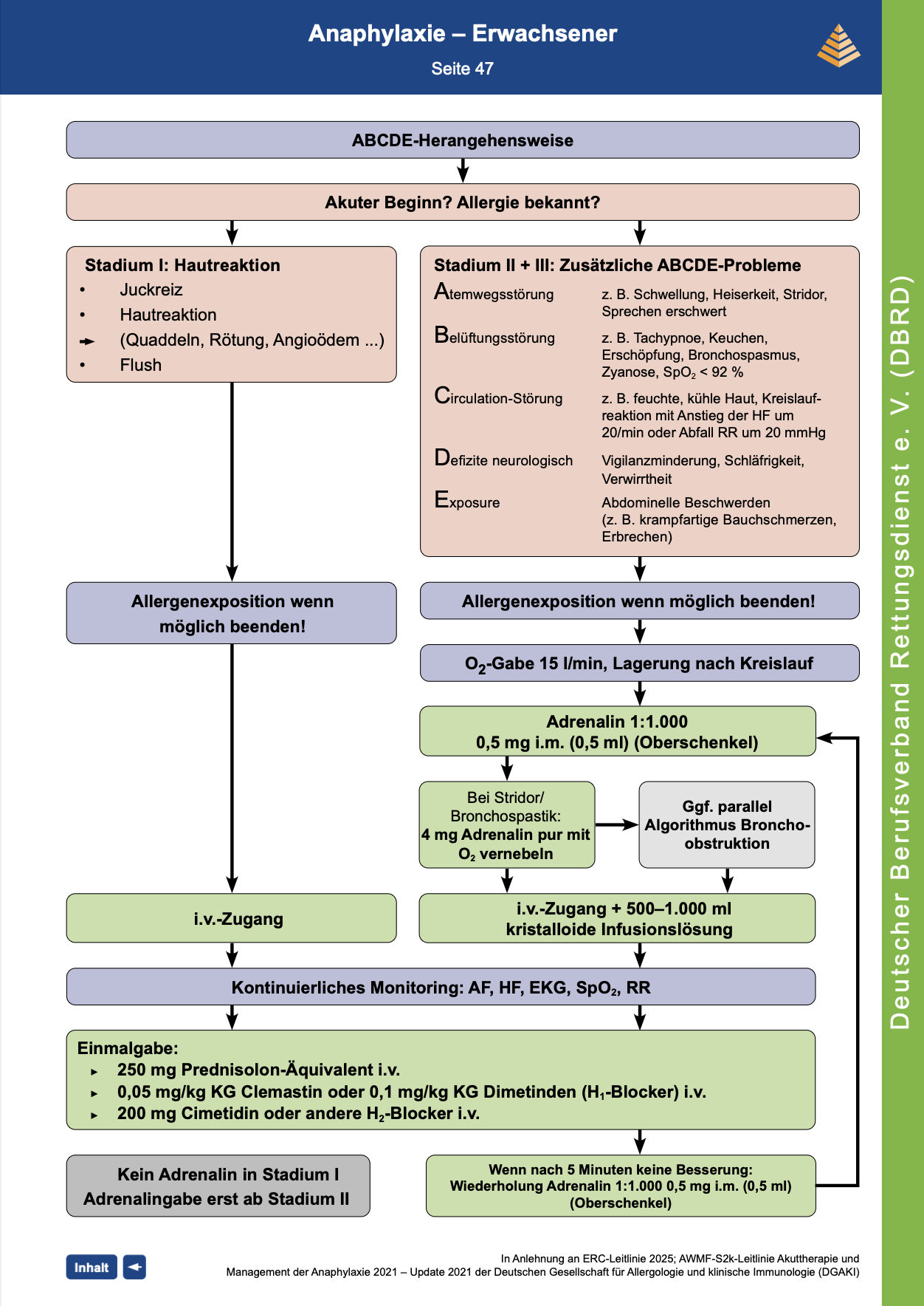 DBRD Algorithmus: Anaphylaxie - Erwachsene