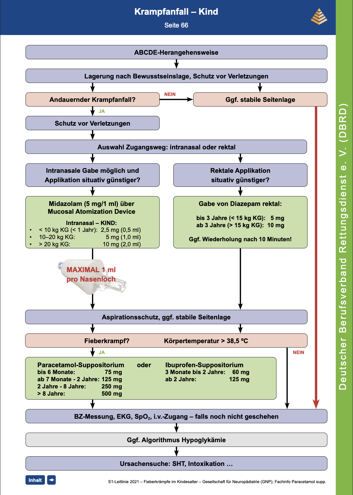 DBRD Algorithmus: Krampfanfall Kinder