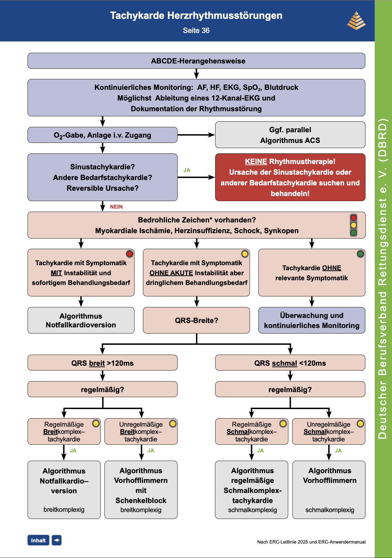 DBRD Algorithmus Tachykarde Herzrythmusstörungen