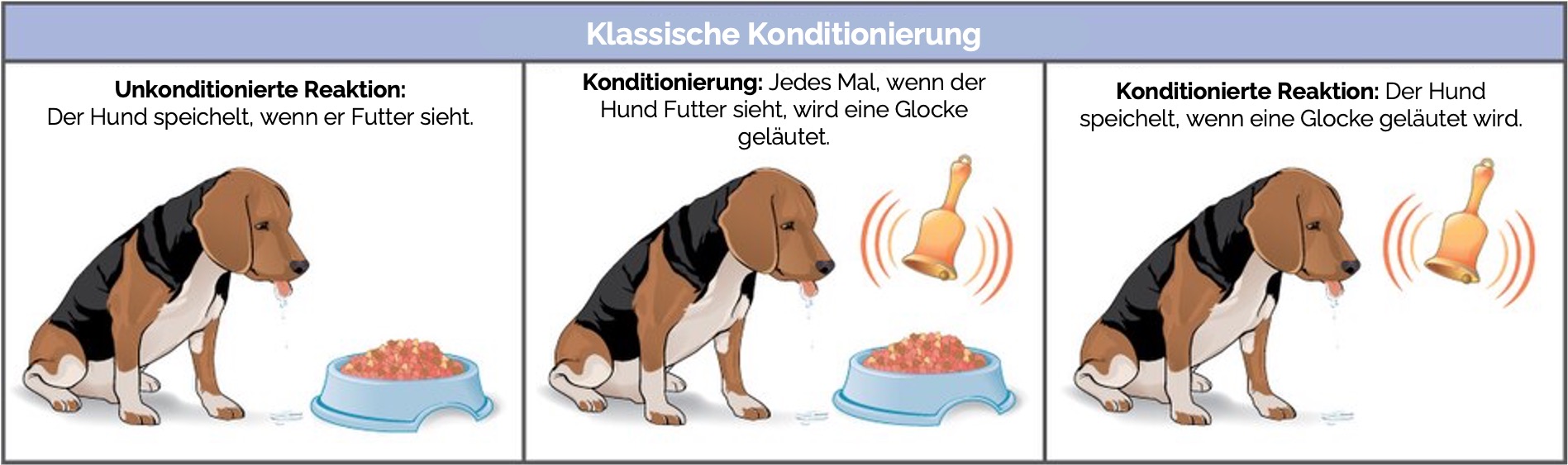 Klassische Konditionierung