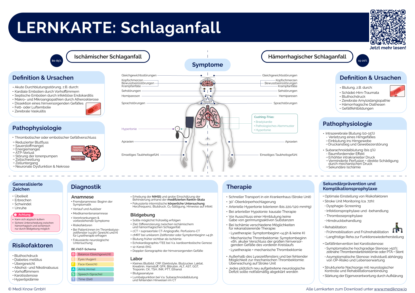 Lernkarte Schlaganfall