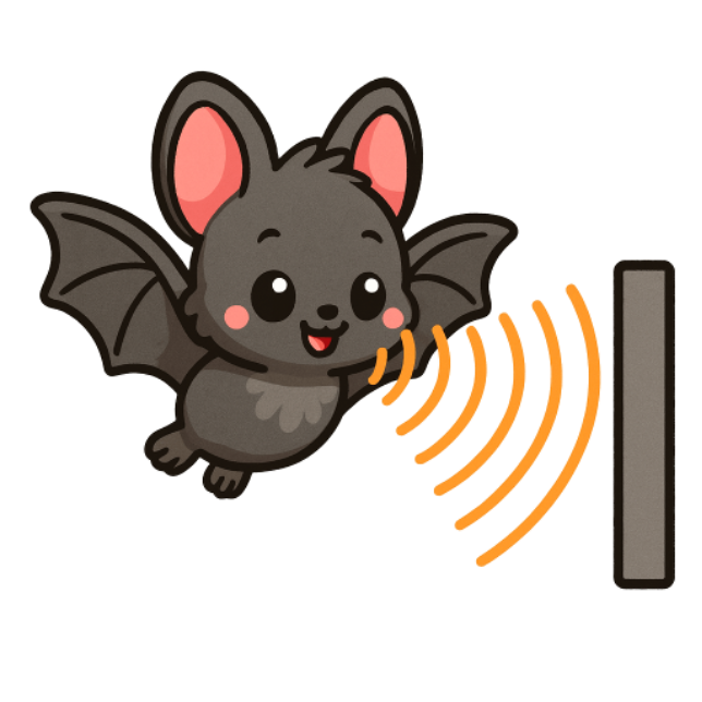 Schallwellen (Ultraschall)