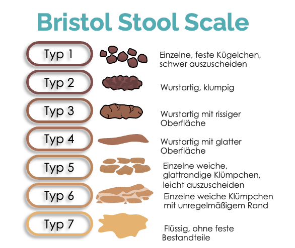 Bristol Stool Scale