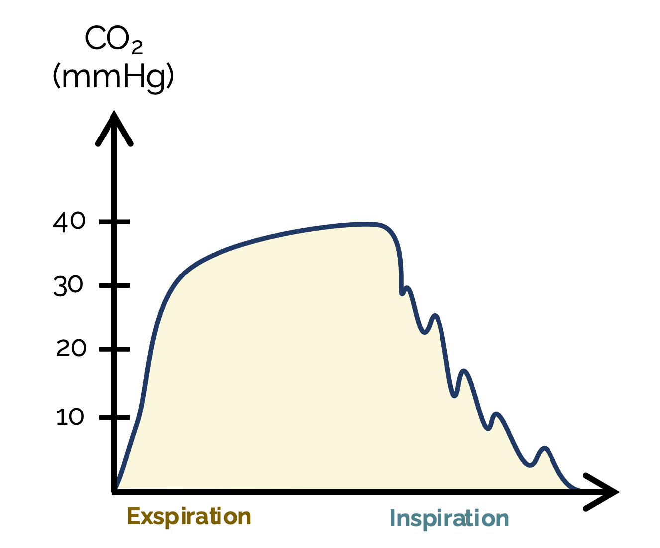 Oszillation der Kapnografiekurve