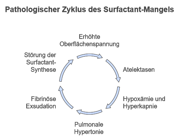 Pathologie des Surfactant-Mangels
