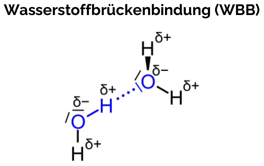 Wasserstoffbrückenbindung (WBB)